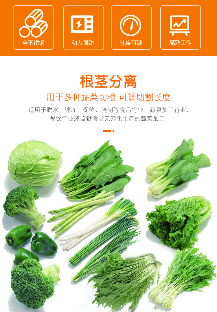 芹菜韭菜大小蔥自動(dòng)去根切根的機(jī)器(圖2)